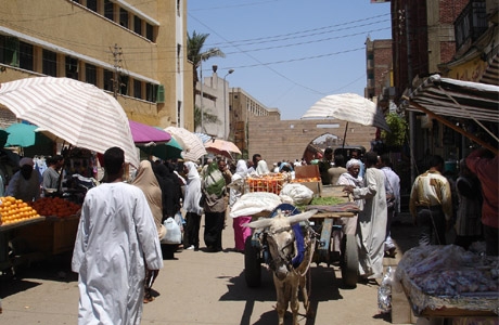 Uw stedentrip naar  Combinatierondreis Egypte, Bron: Peter Langhout