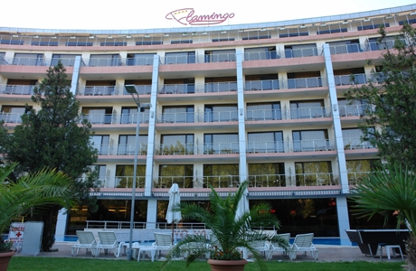 Uw stedentrip naar  Flamingo, Bron: Peter Langhout