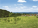 Uw stedentrip naar  Park Hochsauerland, Bron: Center Parcs