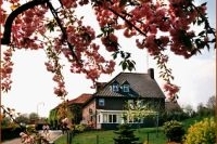 Hotel Wippelsdaal