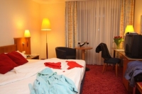  Golden Tulip Trier