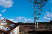 Hotel Secret  Veluwe