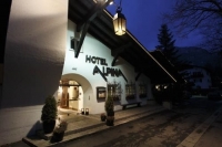 Hotel TREFF  Alpina