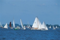 Hotel Emjee  Drachten