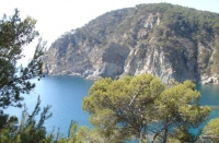 Sorra Daurada
