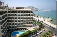  Ozcelik