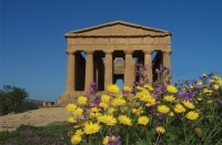 Hotel Diverse s Sicilie + overtocht