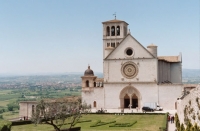  Della Torre