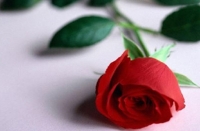 Hotel Best Western  Walram