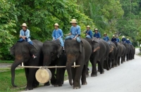  Rondreis Verbazingwekkend Thailand