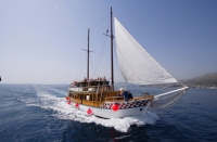 Hotel Diverse scruise Kroatie