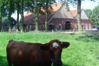 Erfgoed Bossem