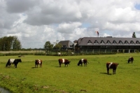 Hotel Van der Valk  Volendam