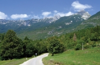  Centinera