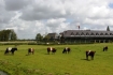 Van der Valk  Volendam