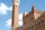  Della Torre